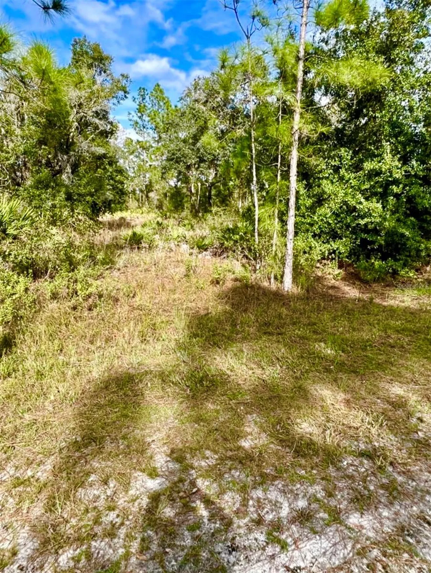 Oleander Drive Indian Lake Estates FL 33855