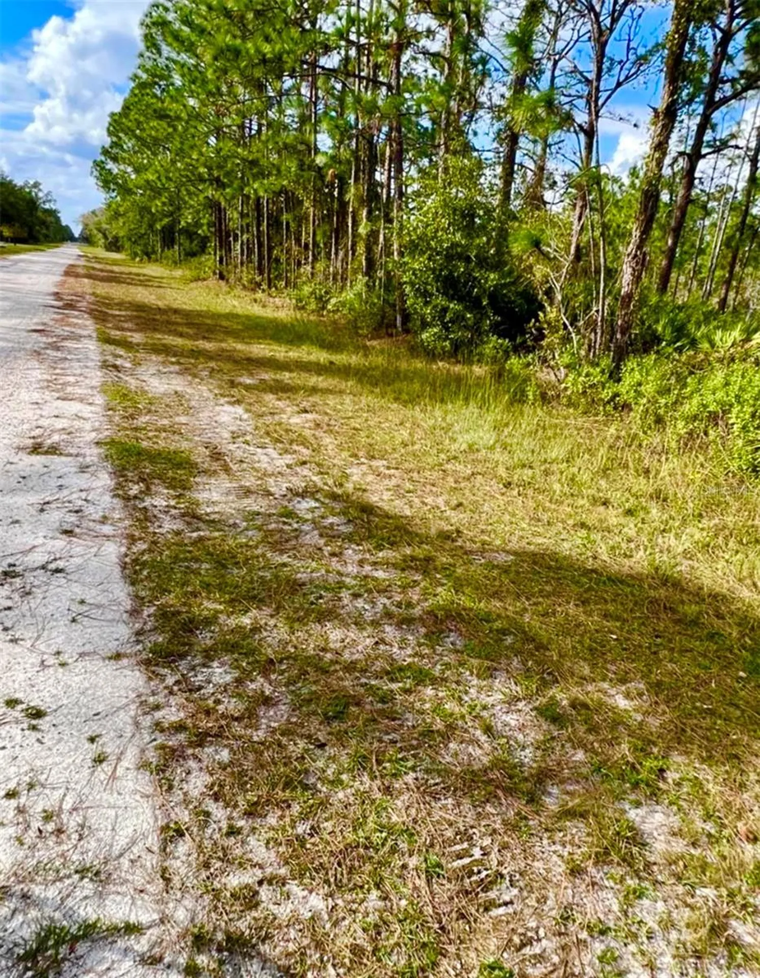 Oleander Drive Indian Lake Estates FL 33855