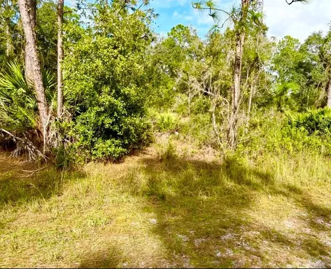 Oleander Drive Indian Lake Estates FL 33855