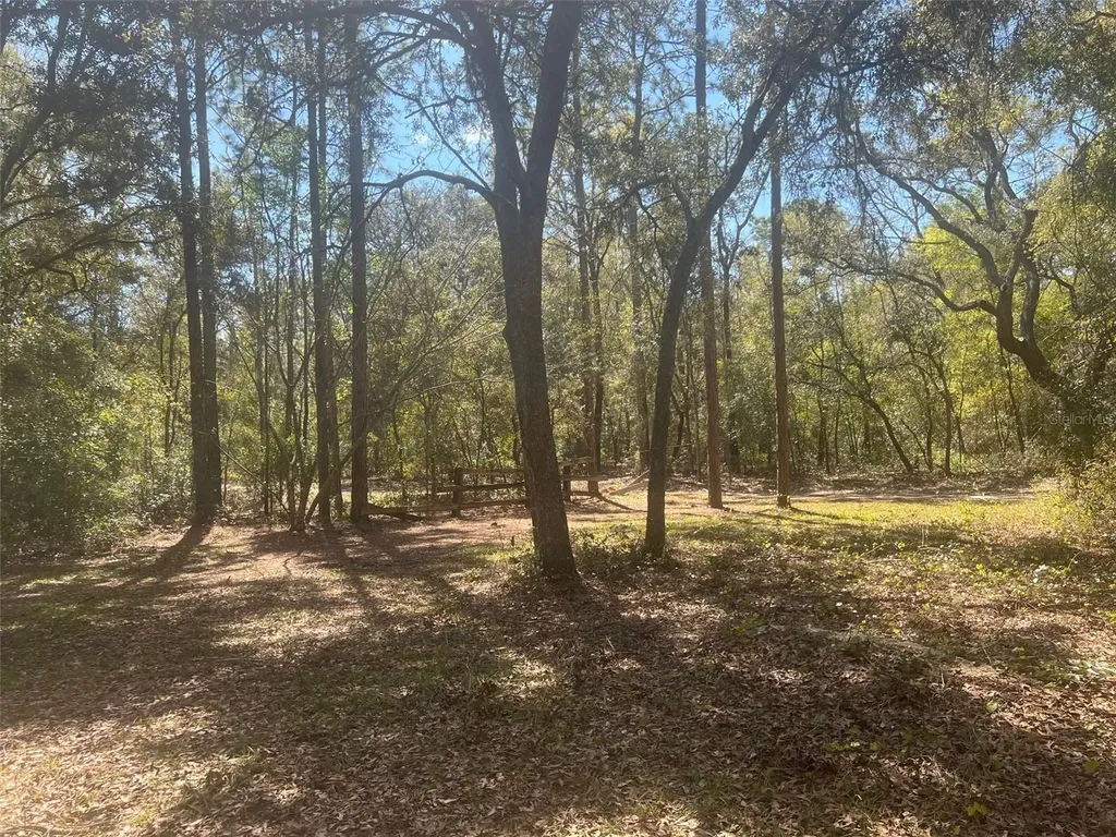 11372 E Highway 25 Ocklawaha FL 32179
