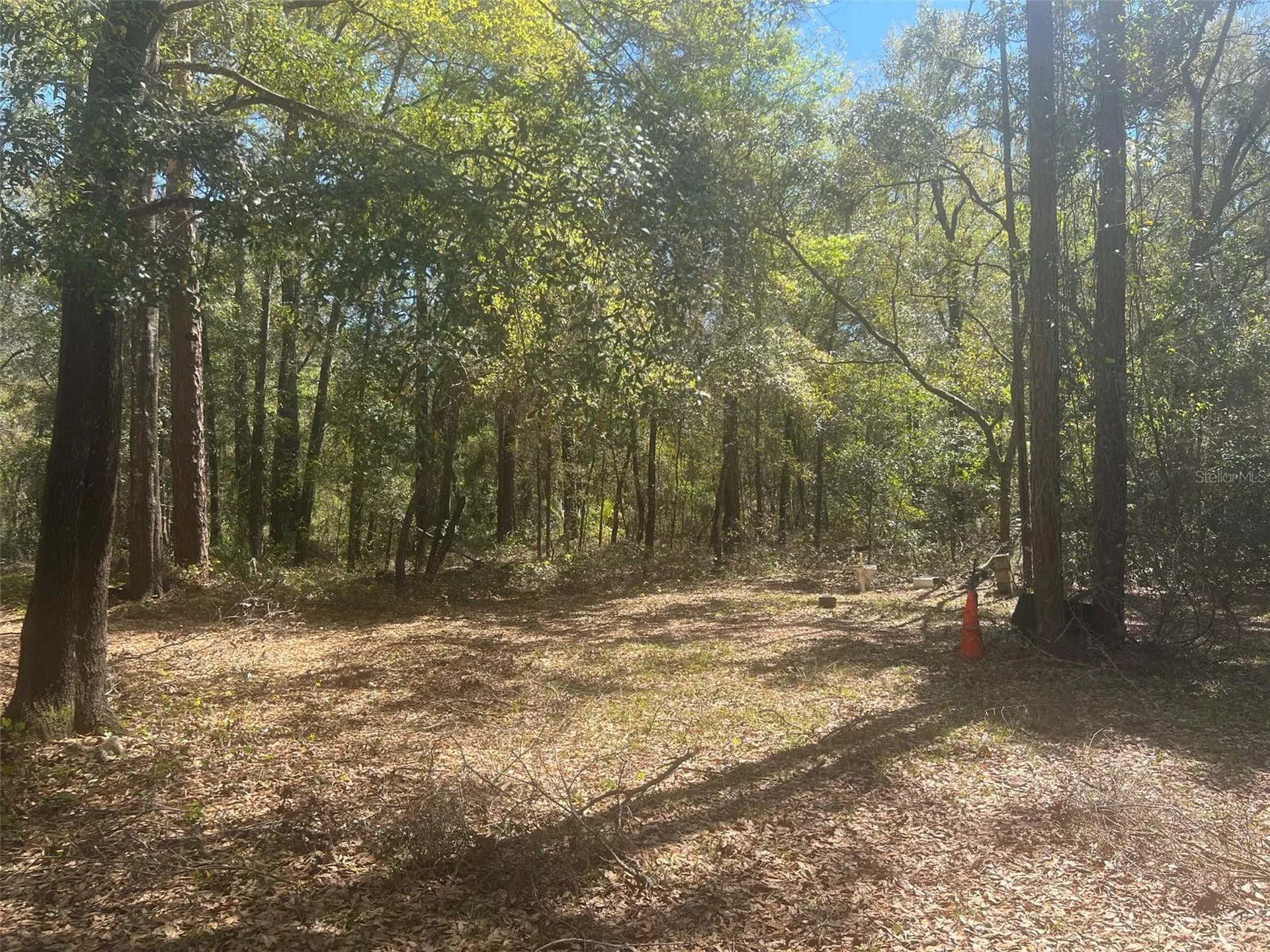 11372 E Highway 25 Ocklawaha FL 32179