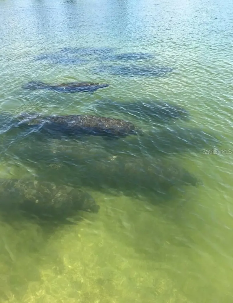 109 Bayshore Road Nokomis FL 34275