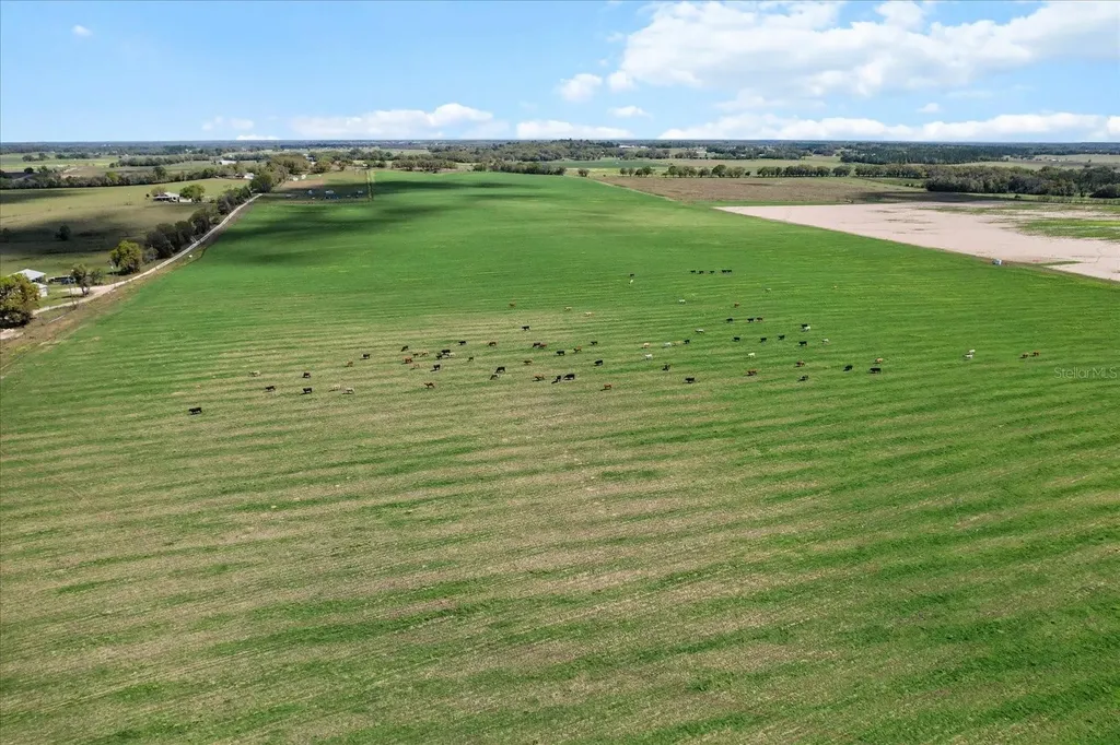 (190 Ac-see Addt'l Pid's) NW 225th Avenue Dunnellon FL 34431