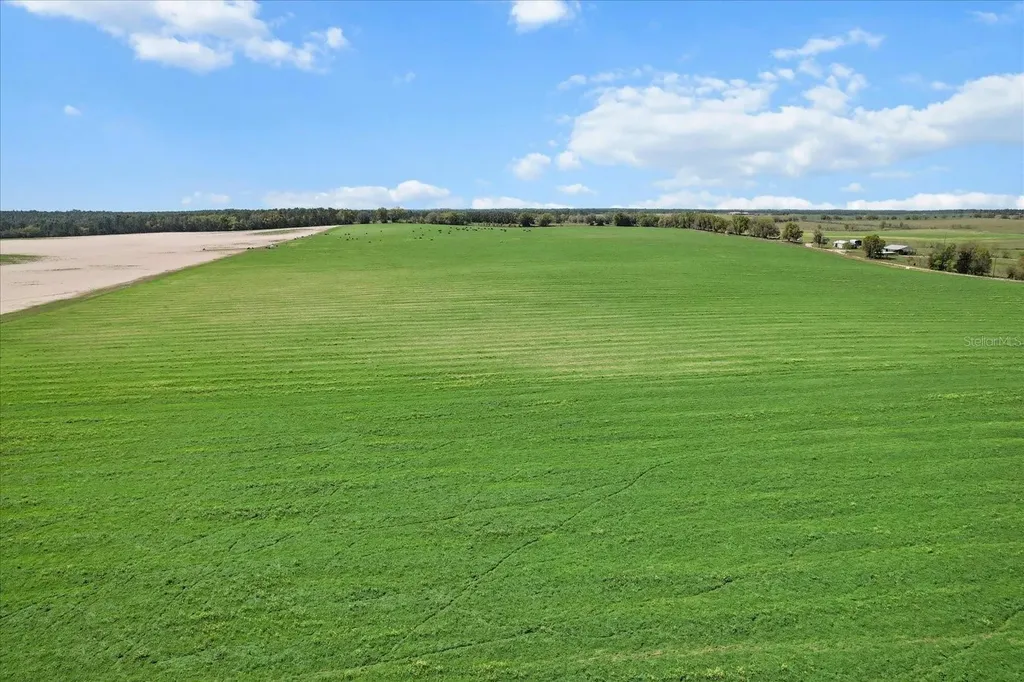 (190 Ac-see Addt'l Pid's) NW 225th Avenue Dunnellon FL 34431