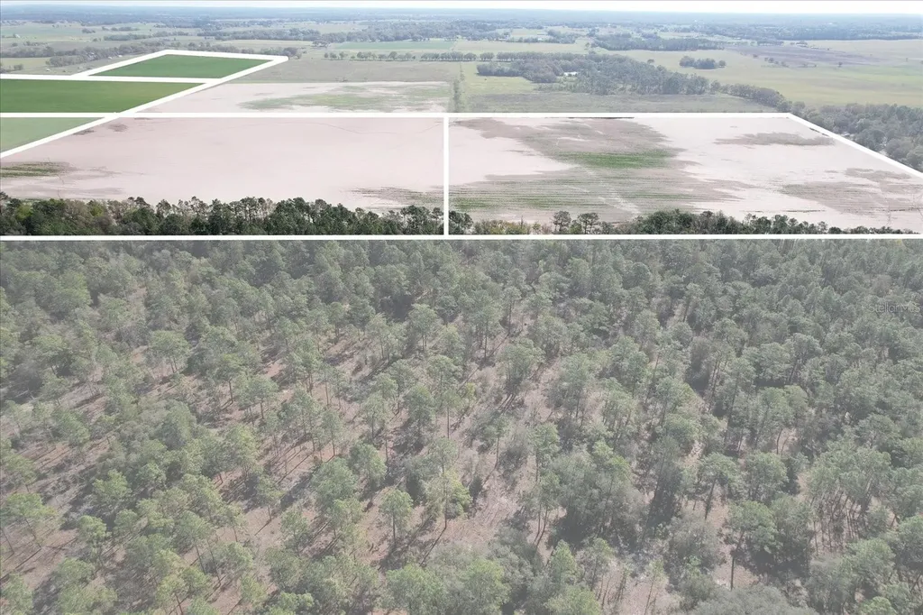 (190 Ac-see Addt'l Pid's) NW 225th Avenue Dunnellon FL 34431