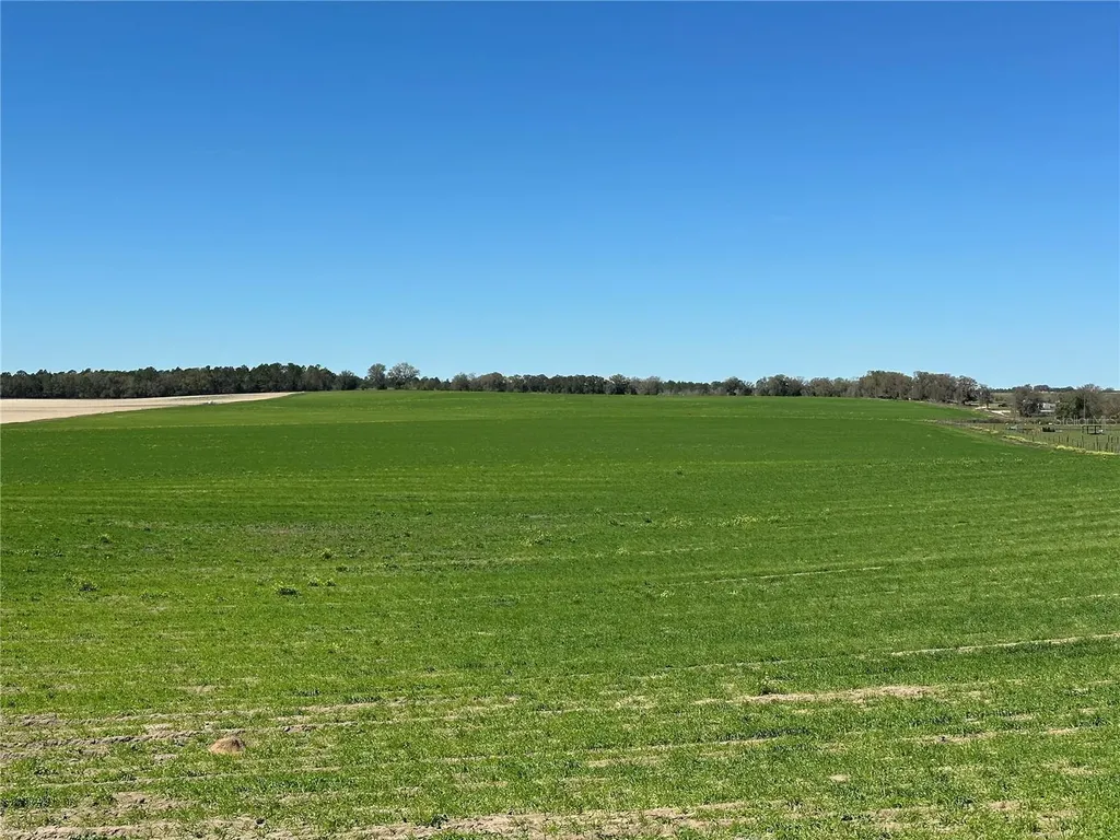 (190 Ac-see Addt'l Pid's) NW 225th Avenue Dunnellon FL 34431