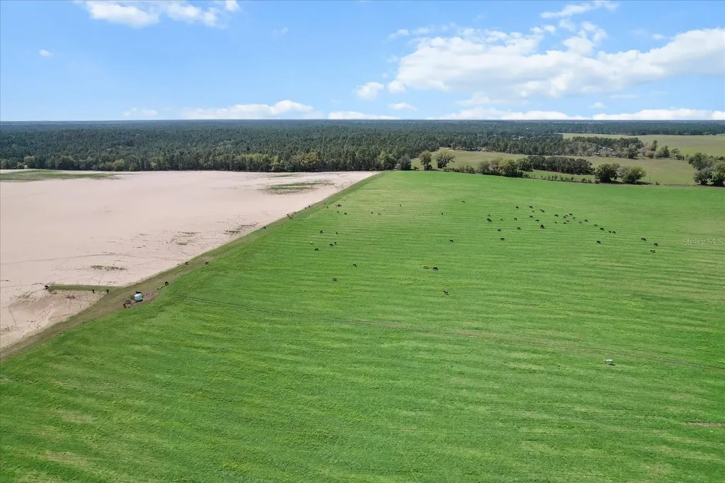 (190 Ac-see Addt'l Pid's) NW 225th Avenue Dunnellon FL 34431