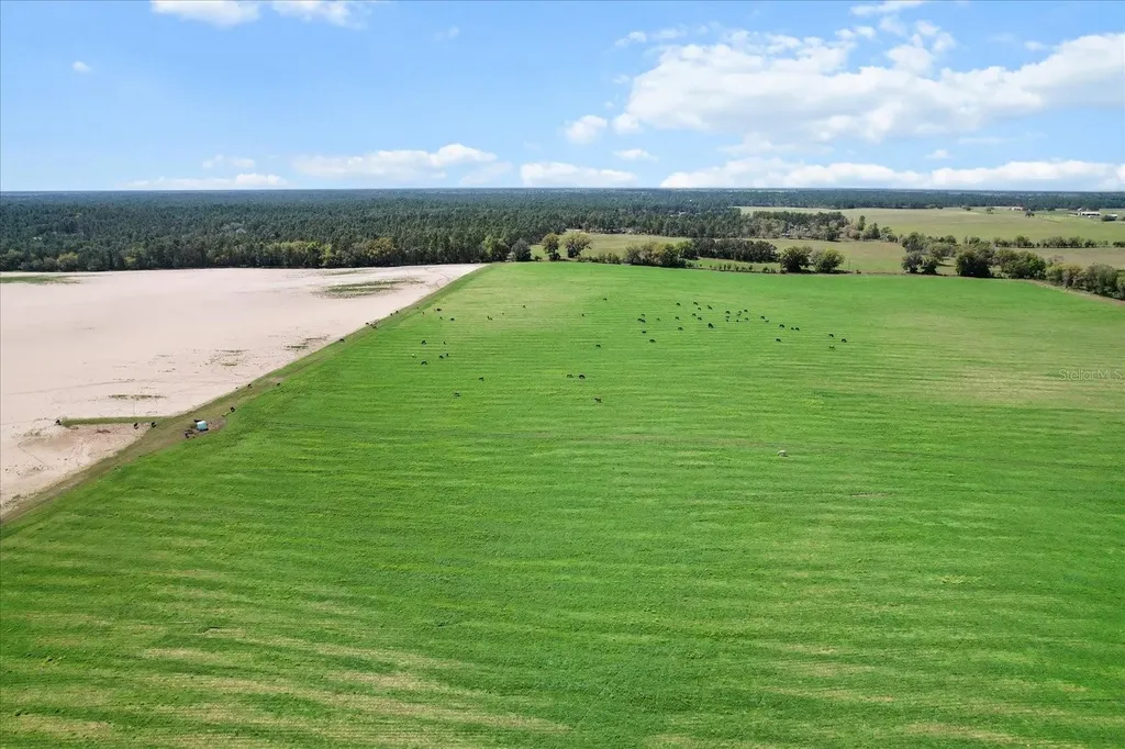 (190 Ac-see Addt'l Pid's) NW 225th Avenue Dunnellon FL 34431