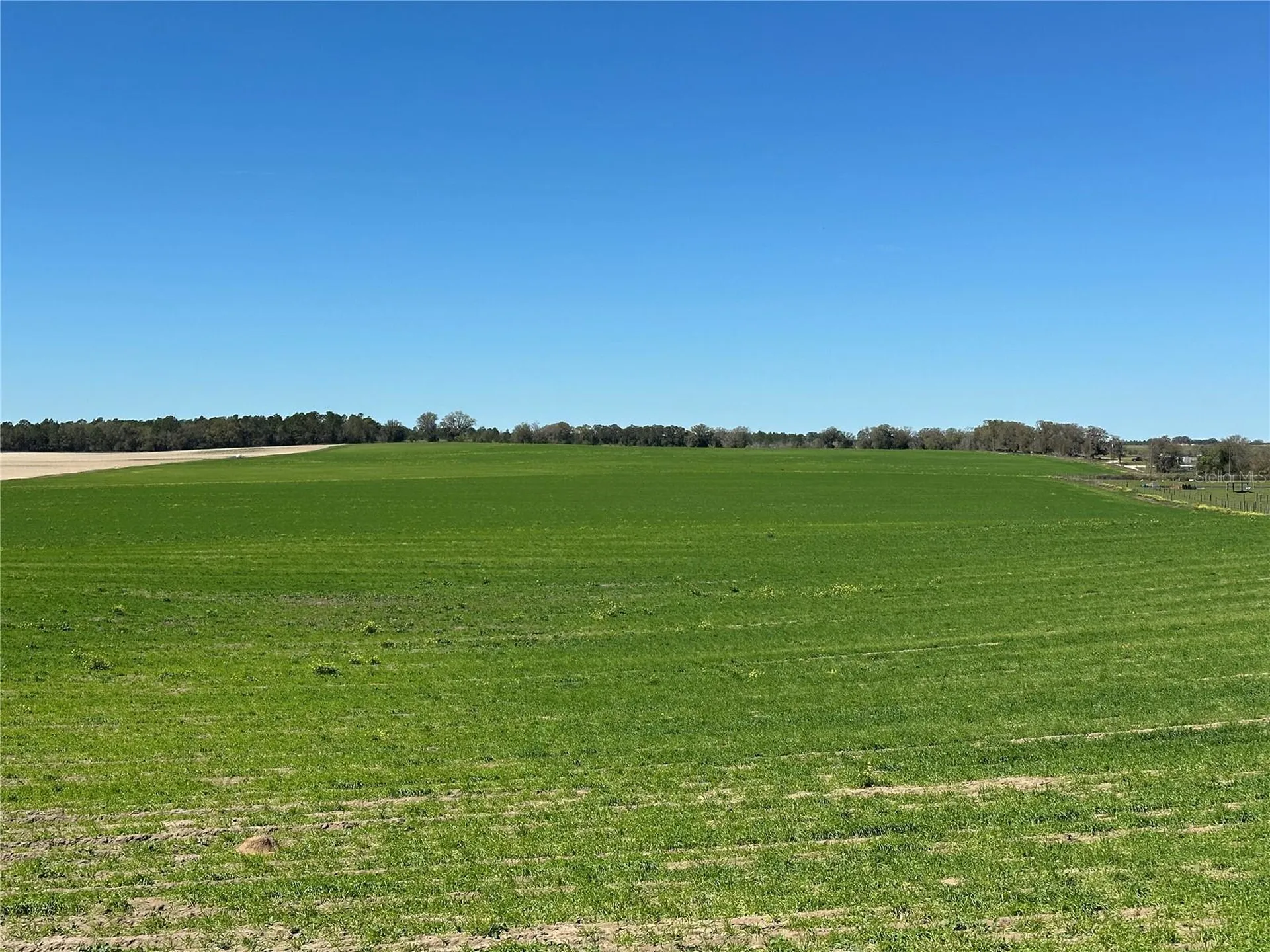 (190 Ac-see Addt'l Pid's) NW 225th Avenue Dunnellon FL 34431