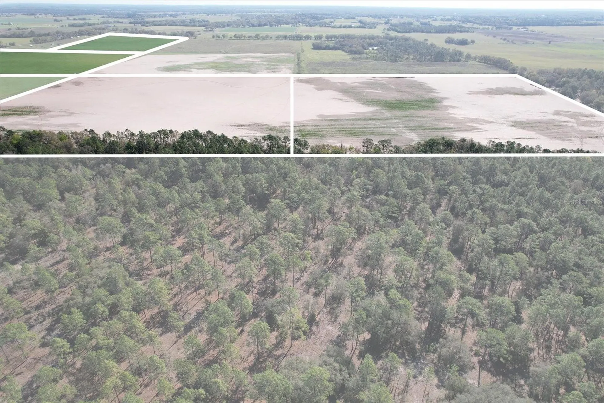 (190 Ac-see Addt'l Pid's) NW 225th Avenue Dunnellon FL 34431