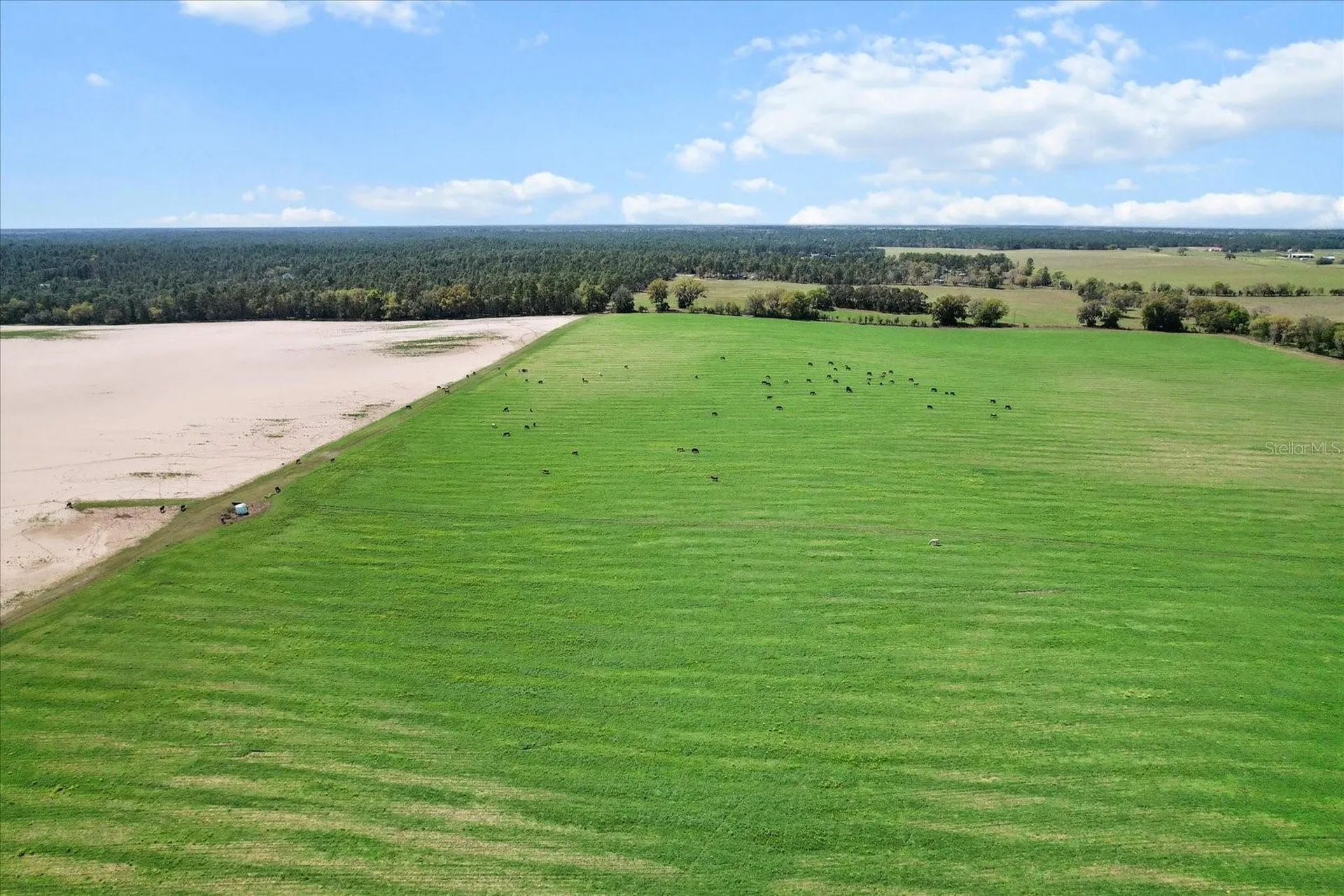 (190 Ac-see Addt'l Pid's) NW 225th Avenue Dunnellon FL 34431