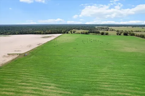 (190 Ac-see Addt'l Pid's) NW 225th Avenue Dunnellon FL 34431