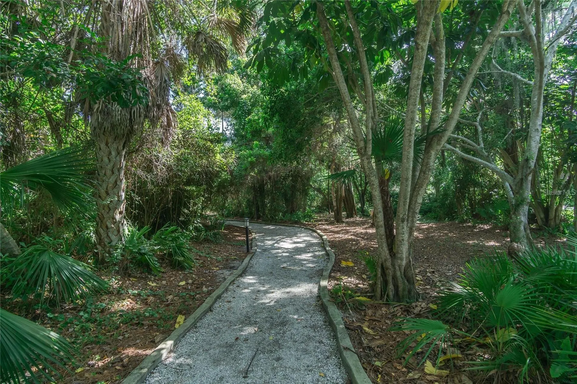 101 Woodland Place Osprey FL 34229