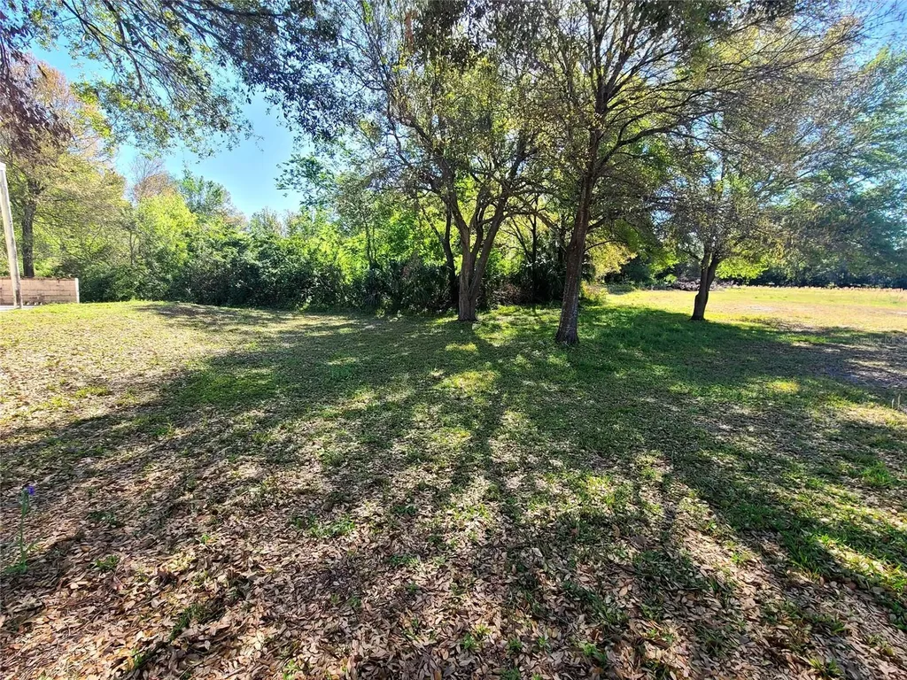 3541 N Boulevard Tampa FL 33603
