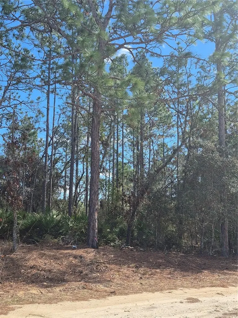 SW 56th Lane Ocala FL 34481