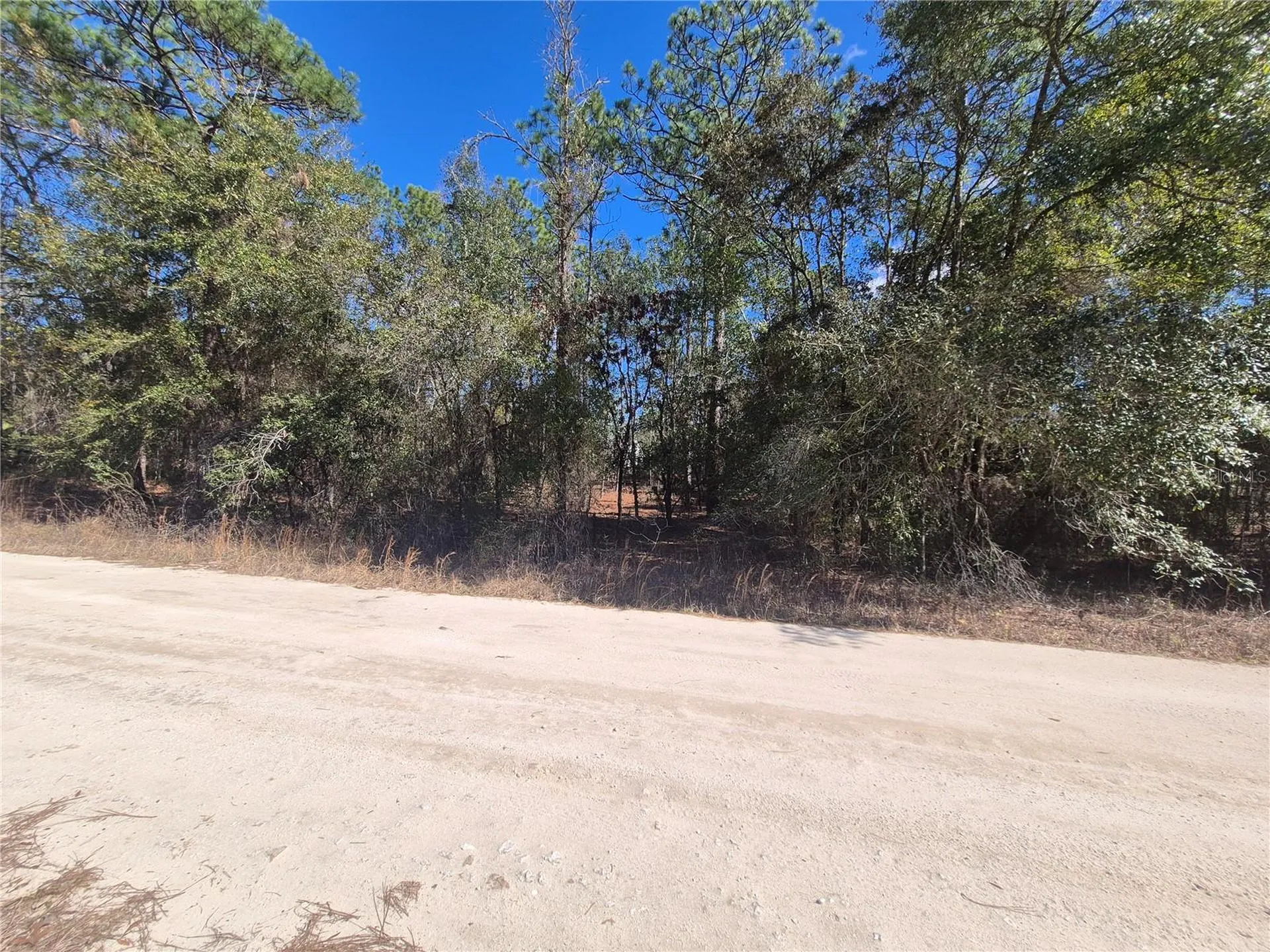 SW 56th Lane Ocala FL 34481