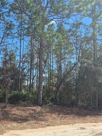 SW 56th Lane Ocala FL 34481