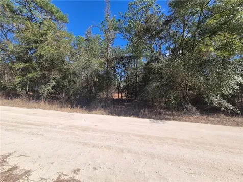 SW 56th Lane Ocala FL 34481