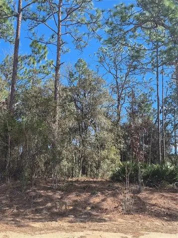 SW 56th Lane Ocala FL 34481