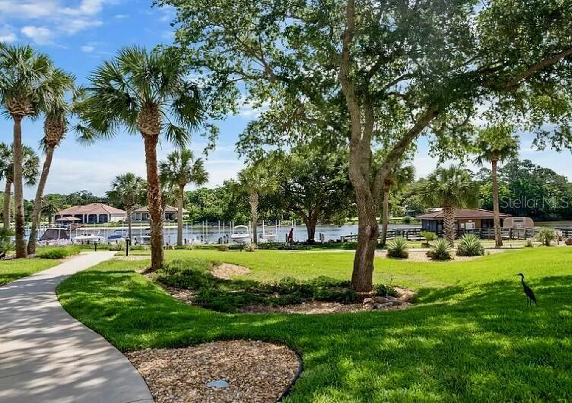 800 Canopy Walk Lane Palm Coast FL 32137