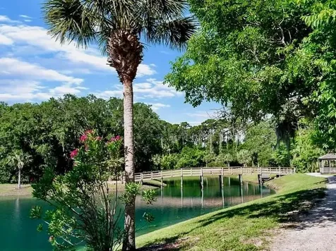 800 Canopy Walk Lane Palm Coast FL 32137