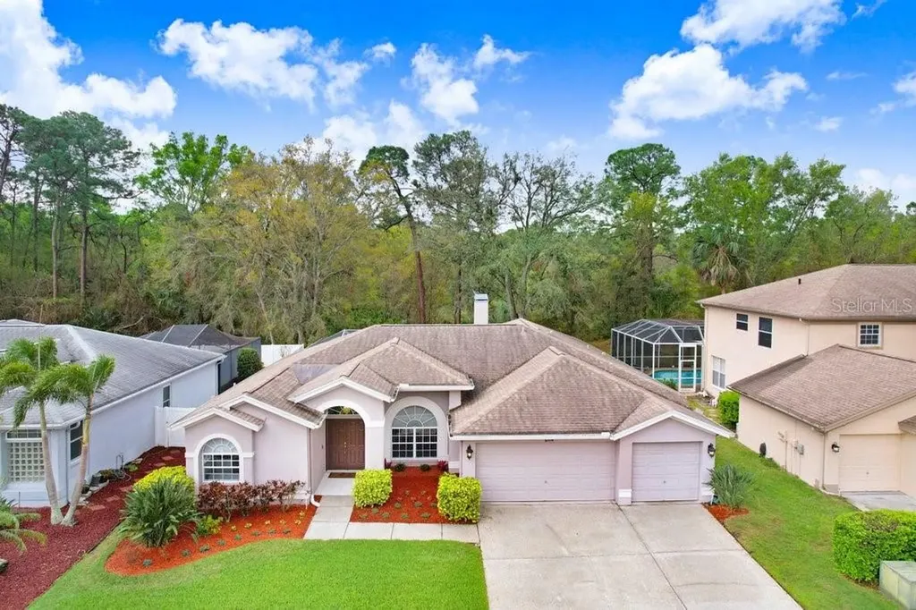 10014 Vista Pointe Drive Tampa FL 33635