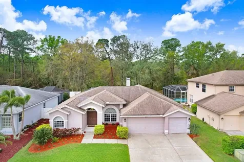 10014 Vista Pointe Drive Tampa FL 33635