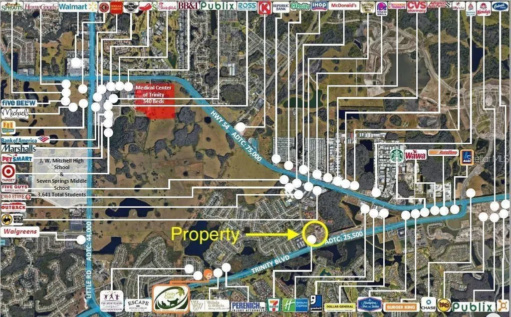 10911 Fox Wood Commerce Drive New Port Richey FL 34655