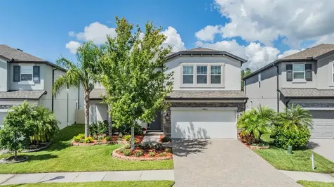 19445 Redwood Point Drive Tampa FL 33647