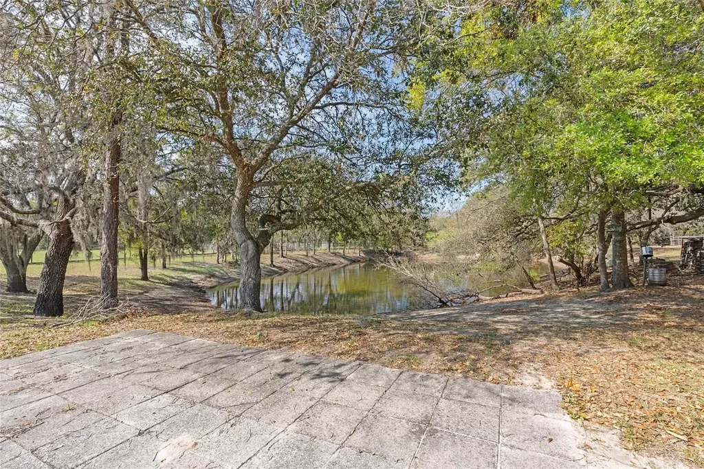 3634 Apfel Road Wesley Chapel FL 33543