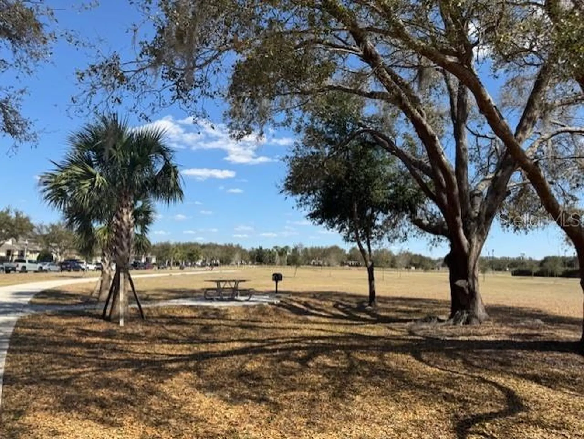 11926 Verrazano Drive Orlando FL 32836
