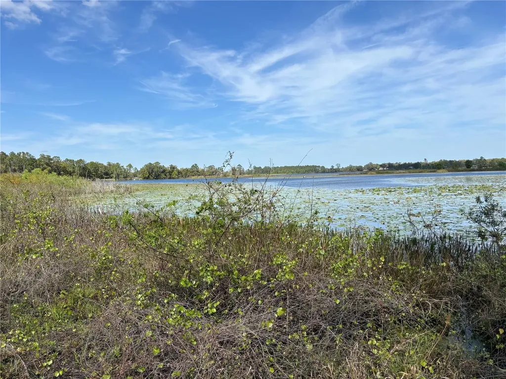 1970 Mcbride Road Seville FL 32190