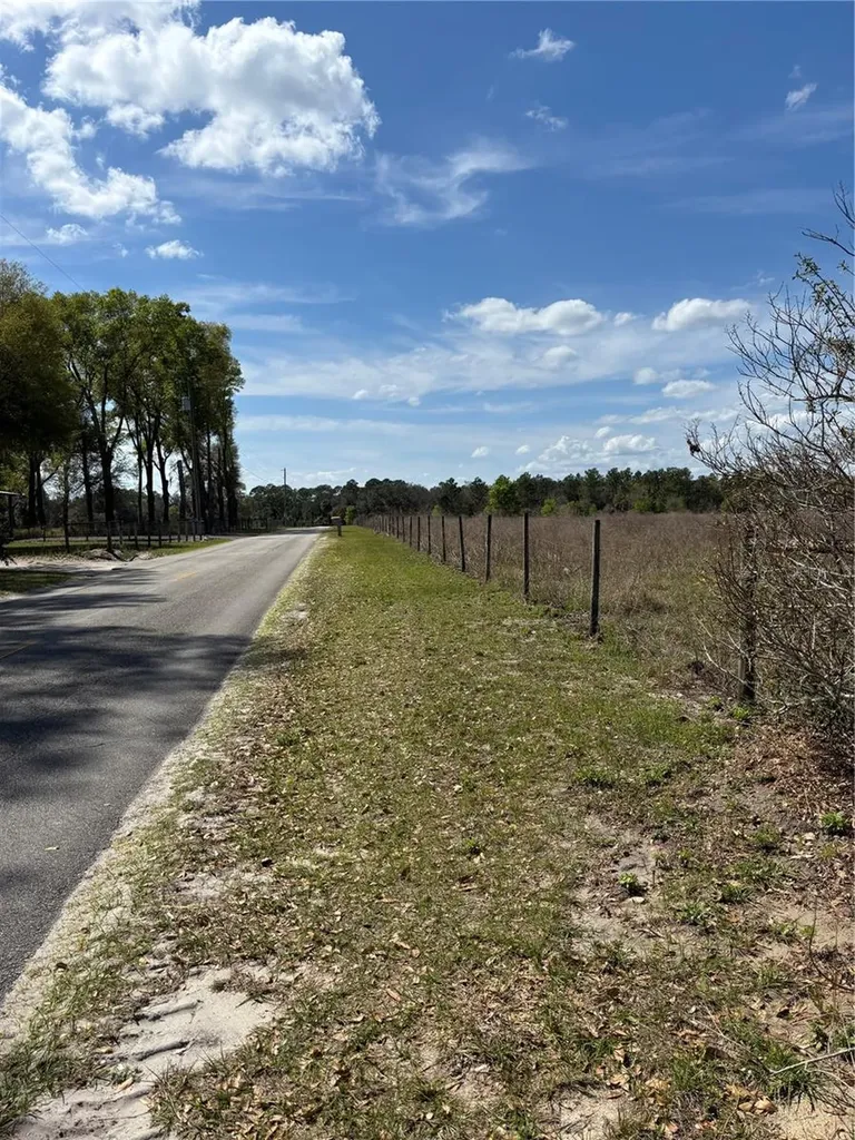 1970 Mcbride Road Seville FL 32190