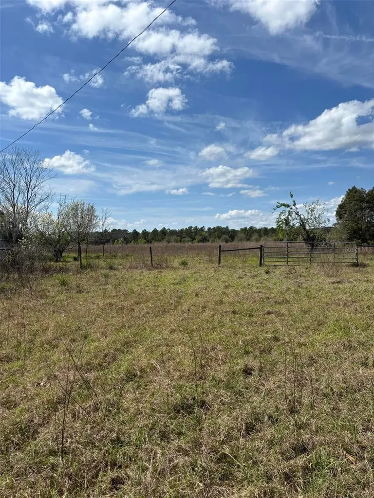 1970 Mcbride Road Seville FL 32190