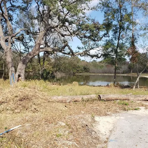 Virginia Avenue Tarpon Springs FL 34689