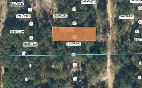 00 SW 55th Avenue Interlachen FL 32148