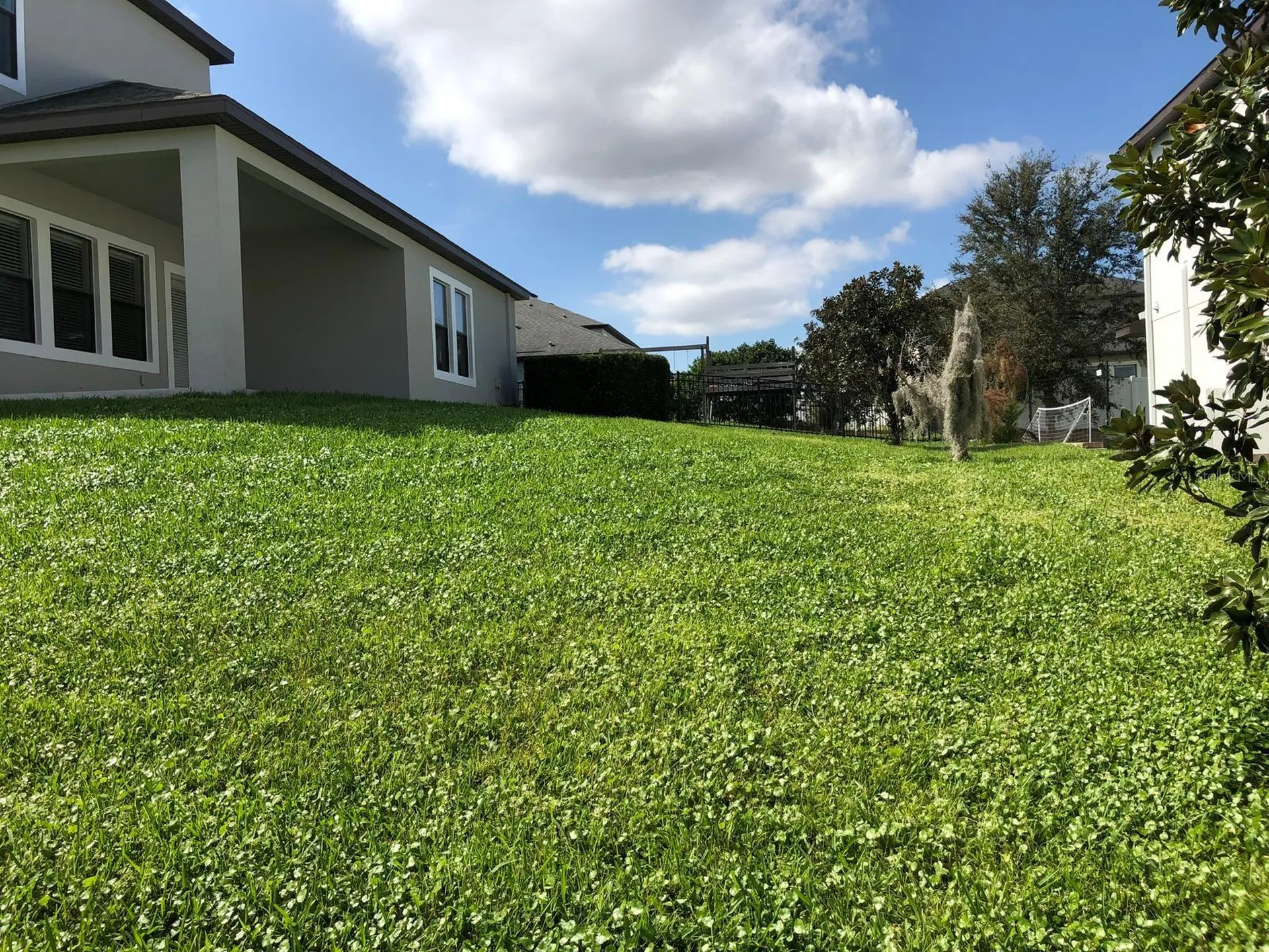 15007 Night Heron Drive Winter Garden FL 34787