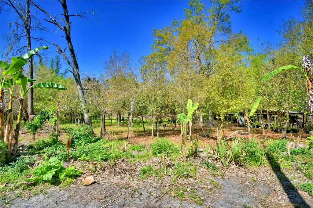 2039 Ranchland Drive Lakeland FL 33809