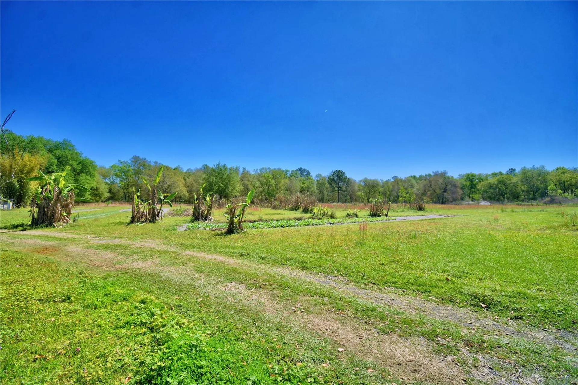 2039 Ranchland Drive Lakeland FL 33809