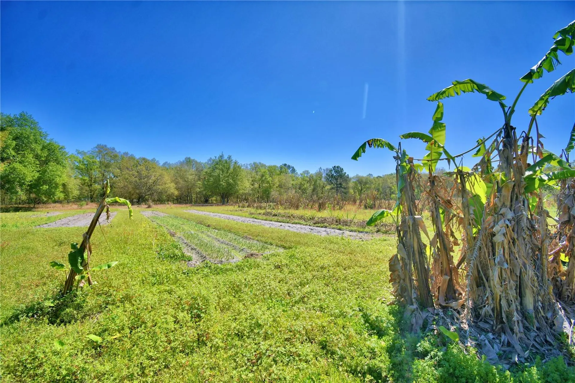 2039 Ranchland Drive Lakeland FL 33809