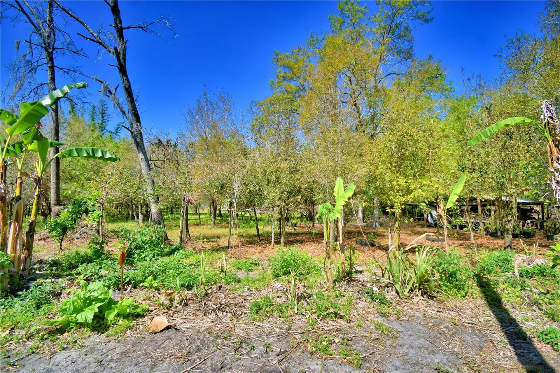 2039 Ranchland Drive Lakeland FL 33809