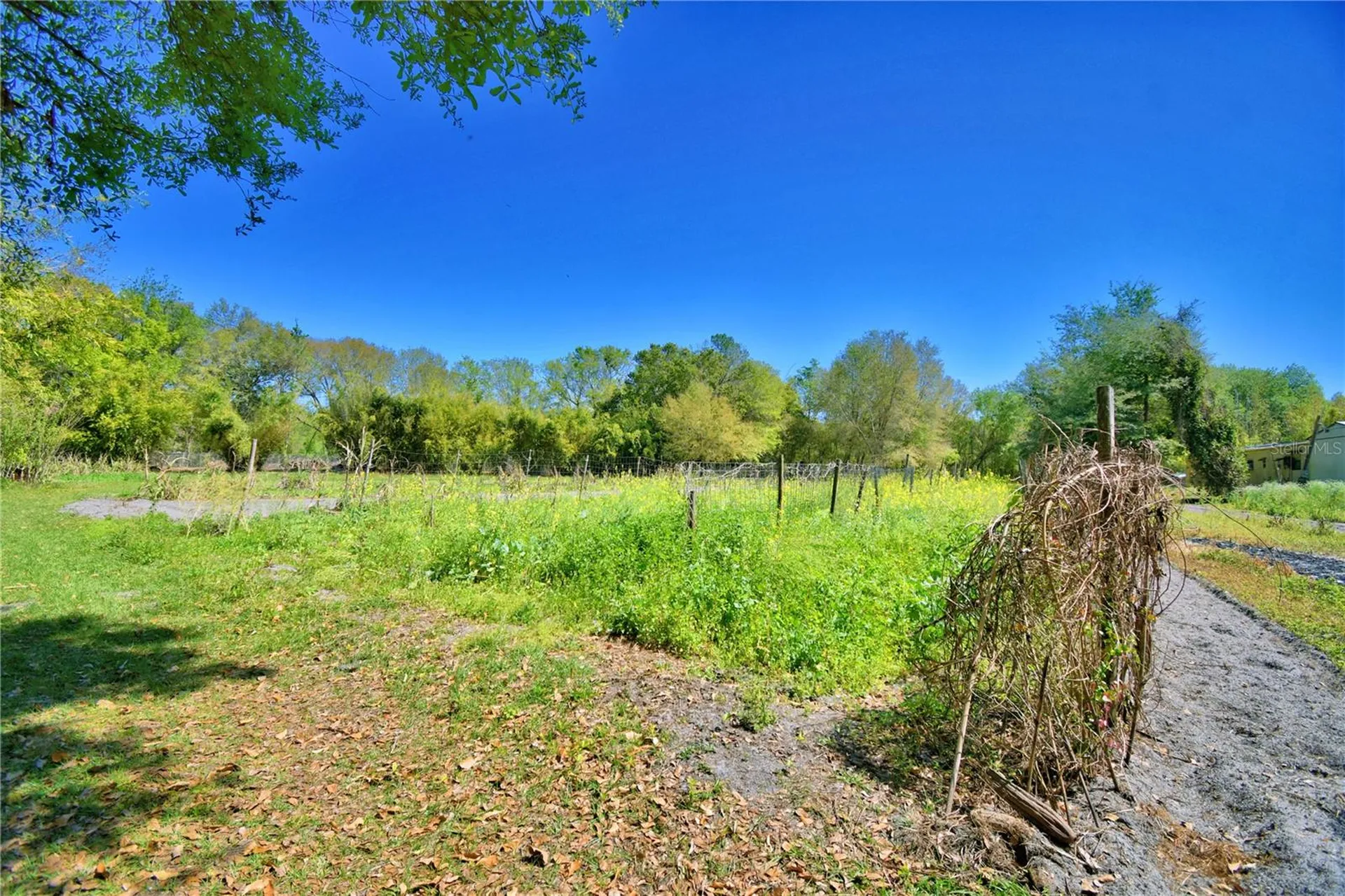 2039 Ranchland Drive Lakeland FL 33809