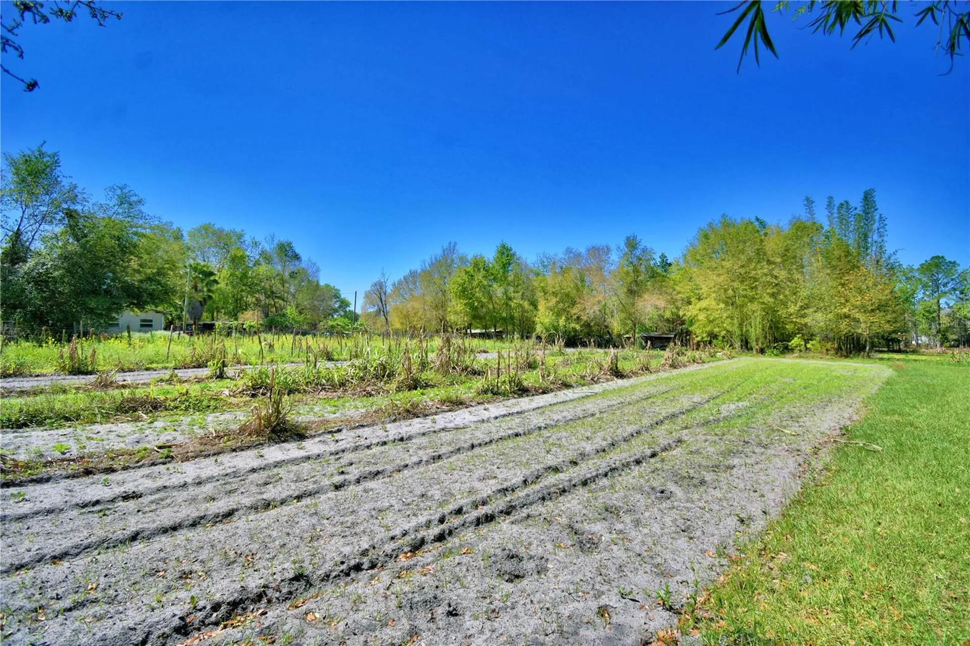 2039 Ranchland Drive Lakeland FL 33809
