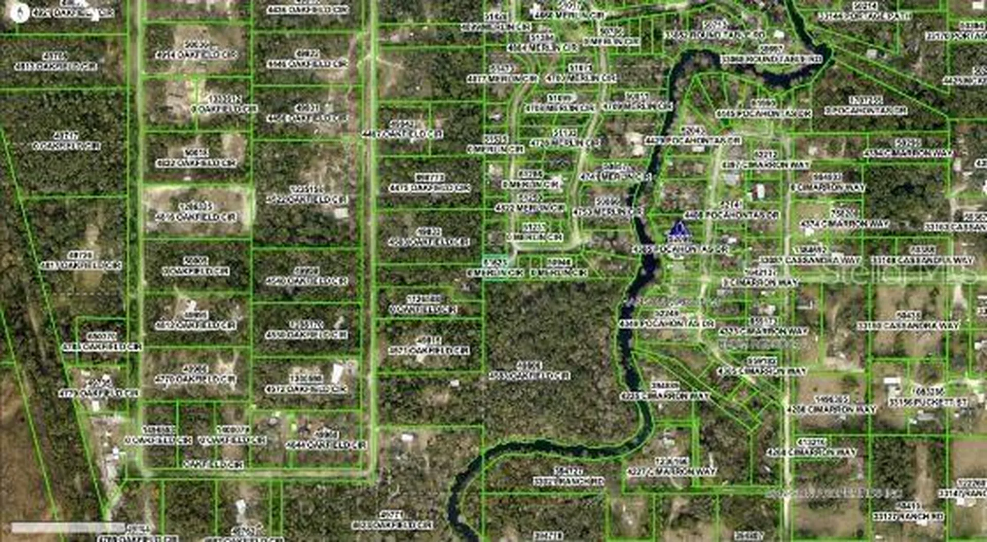 4809 Merlin Circle Ridge Manor FL 33523