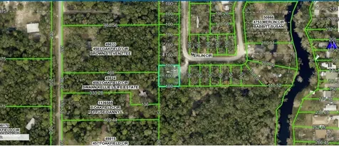 4809 Merlin Circle Ridge Manor FL 33523