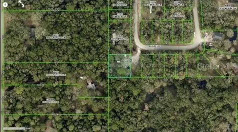 4809 Merlin Circle Ridge Manor FL 33523