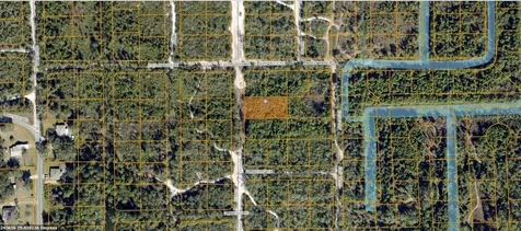 Hollyhock E Deland FL 32724