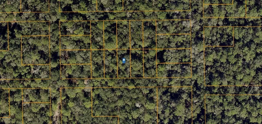 Hamilton Avenue Orange City FL 32763