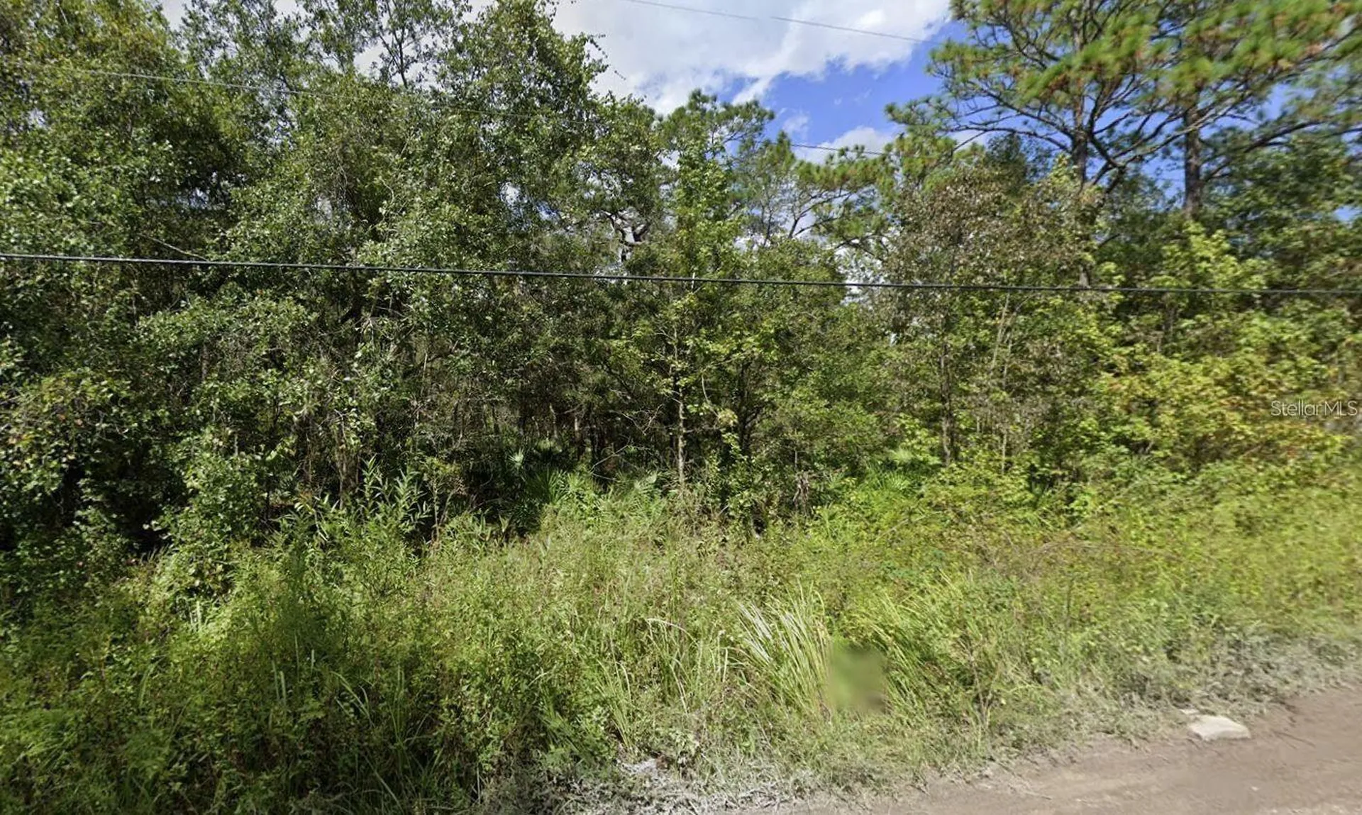 00 Morton Street New Port Richey FL 34654