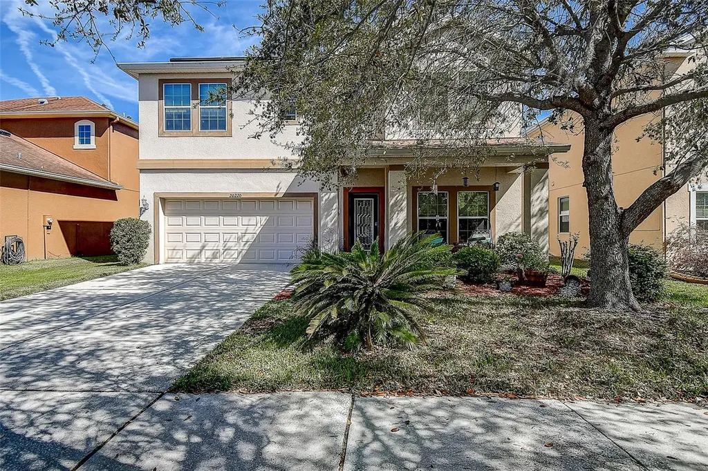 20220 Autumn Fern Avenue Tampa FL 33647